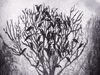 Animation Radiohead GIF by hoppip