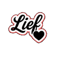 Foeicollective liefde hart lief foei Sticker