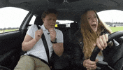 Car Screaming GIF by RTL
