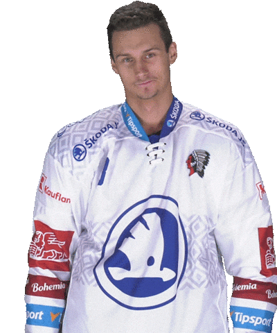 Hockey Team Sticker by HC Škoda Plzeň