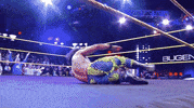 rock n roll spinning GIF by WWE