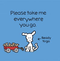 I Love You Dogs GIF by Chippy the Dog