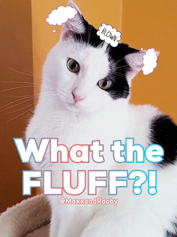 What The Wtf GIF