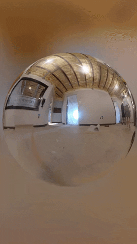 giphymaker41 giphyupload GIF