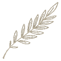 Olive Branch Home Sticker