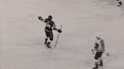 Sport Goal GIF by Ontario Reign