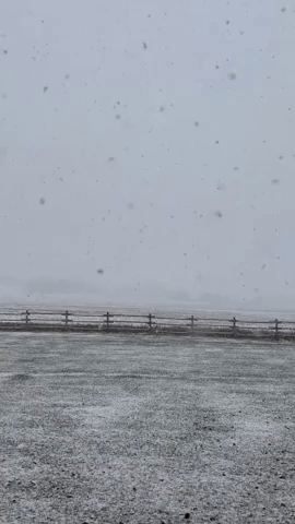Heavy Snowfall Across Montana Limits Visibility