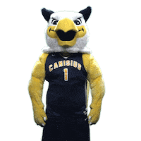 Happy College Sticker by Canisius Athletics
