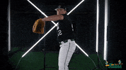 Tulane Rollwave GIF by GreenWave