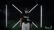 Tulane Rollwave GIF by GreenWave