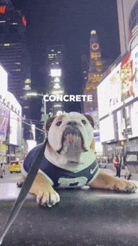 Happy New York GIF by Butler University