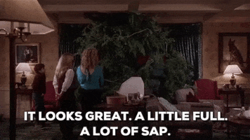 christmas vacation GIF