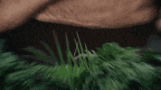 discovery channel survival GIF by Discovery Europe