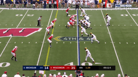 aaronmcmann giphyupload michigan football joe milton GIF