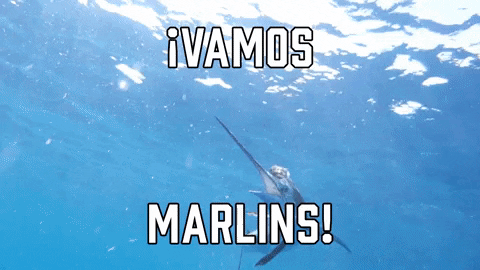 Miami Marlins Sport GIF by Sealed With A GIF