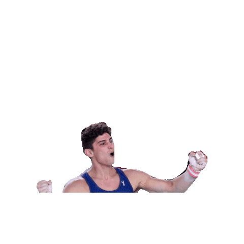 Fgi Celebrating Sticker by Federazione Ginnastica d'Italia