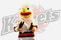 hockey bird GIF by Fort Wayne Komets