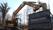 Cat Heavy Equipment GIF by JC Property Professionals