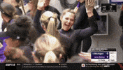 ncaasports ncaa softball wcws jmu GIF