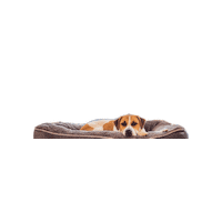tstarch sleep chill relax sleeping Sticker