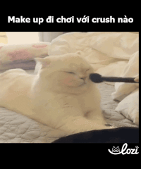 duong-gif25 GIF by Lozi Singapore Co.