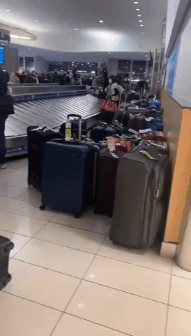 Unclaimed Bags Wait at Washington's Reagan Airport Amid Flight Delays