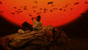 Shallipopi GIF by Rema