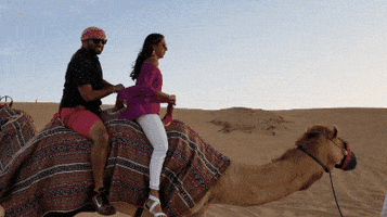 WhatTheFlip travel couple dubai hump day GIF