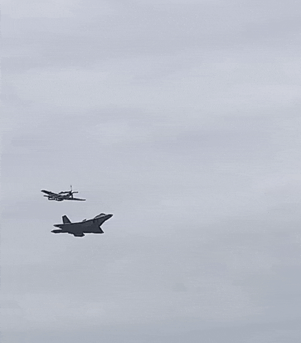 toastman1156 ww2 airforce fighter jet f-22 GIF