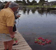 Video gif. A group of people stand on a wooden dock and carefully toss roses into the water. The dock crumbles underneath them toppling them into the water. 