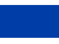 Nithya Raman Sticker by Nithya For The City