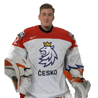 Celebration Hockey Sticker by Národní tým