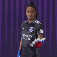 Major League Soccer Reaction GIF by Orlando City SC