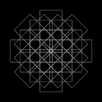 Black And White Loop GIF by xponentialdesign