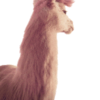 dance lol Sticker by Jules Mumm