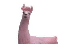 dance lol Sticker by Jules Mumm