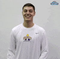 Great Danes Basketball GIF by America East