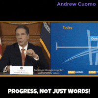 New York Vote GIF by Andrew Cuomo