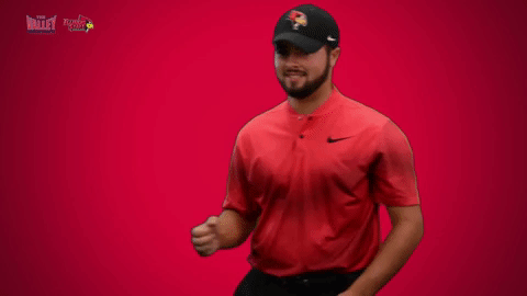 illinois state mvc GIF by Missouri Valley Conference