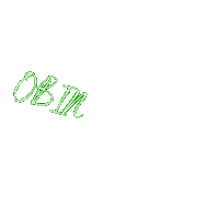 Obin Sticker by obinsimba