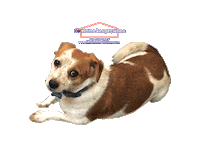 Jackdog Sticker by IM Home Inspections