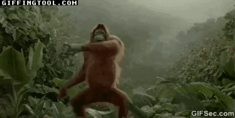 giphyupload GIF