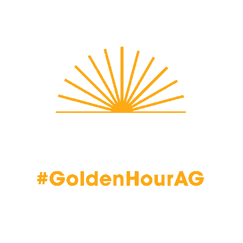 australiangoldbr giphyupload sun sol praia Sticker