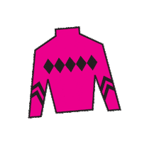 Sport Silk Sticker by Kentucky Derby