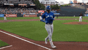 Happy Home Run GIF by Toronto Blue Jays