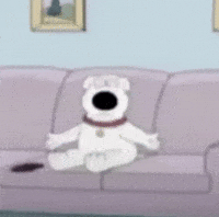 Dog What GIF