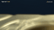 Ttg GIF by Walter Tools