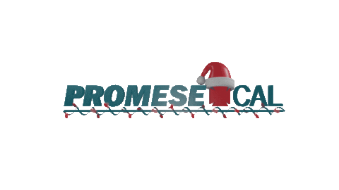 Navidad Sticker by PromeseCalRD