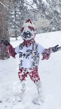 Christmas Snow GIF by Ripon College