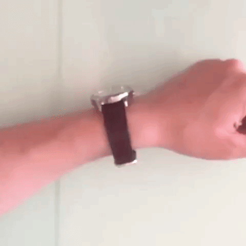 GIF by hazelst